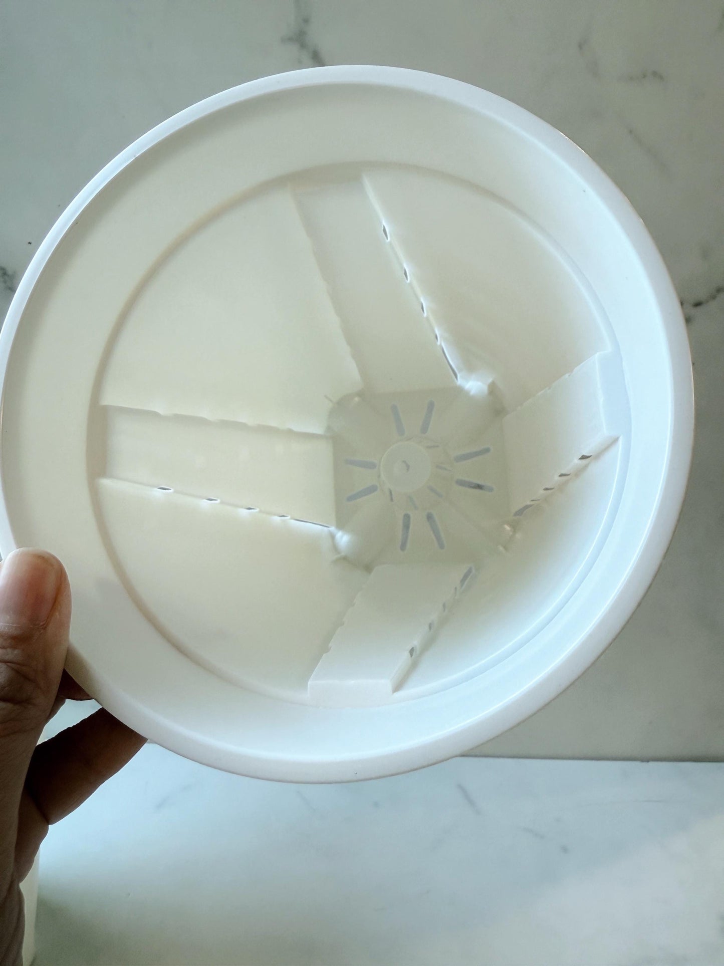 6 Inch Plastic Planters, Pack of 5