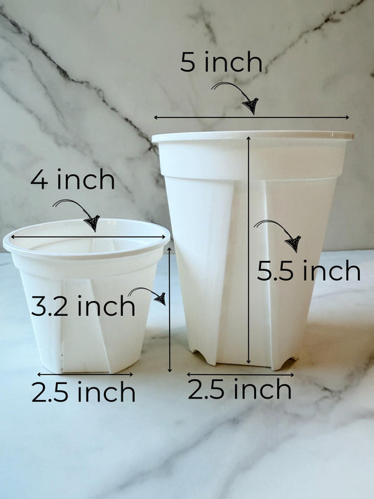 4 or 5 Inch Plastic Planters, Pack of 5
